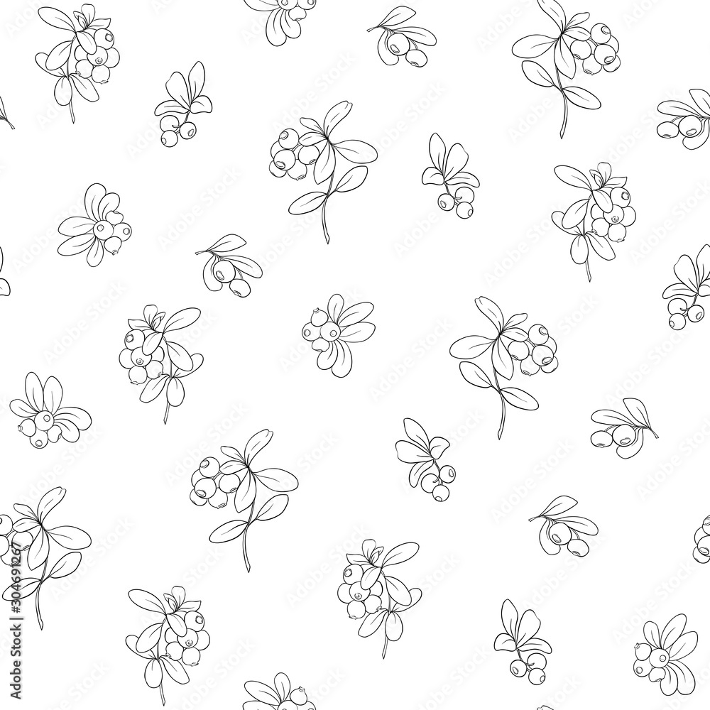 Cranberry. Seamless pattern, background. Outline hand drawing vector illustration