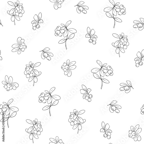 Cranberry. Seamless pattern, background. Outline hand drawing vector illustration