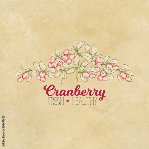 Cranberry. Element for design. Good for product label. Colored vector illustration. On kraft paper background.