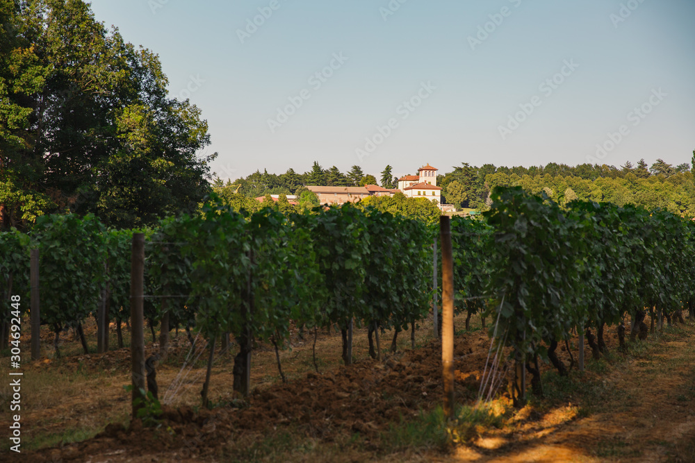 La Scolca winery, Piedmont, Italy