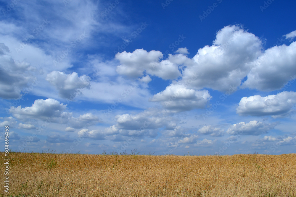 Summer Day and The white clouds that travel blue sky.