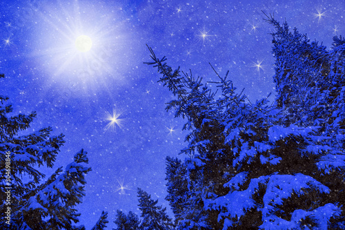 moon winter night landscape in the forest of spruce falling snow