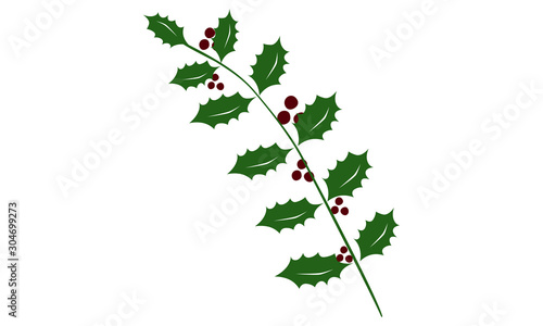 sprig of Holly with berries. Beautiful vector clipart. Christmas is coming