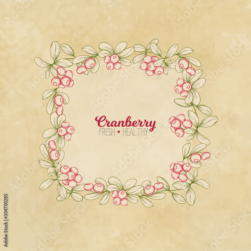 Cranberry. Element for design. Good for product label. Colored vector illustration. On kraft paper background.