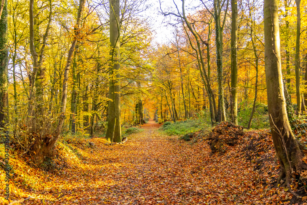 Pure Nature d'automne