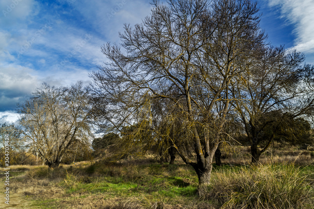 Autumn landscape on a sunny day with clouds. Recreational area of the Retamar bridge. Las Rozas of Madrid, Spain. Autumn landscape on a sunny day with clouds. Recreational area of the Retamar bridge. Las Rozas of Madrid, Spain.