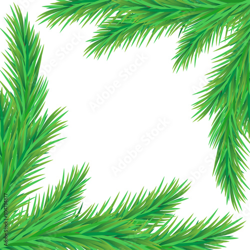 Frame of fir branches on a white background.