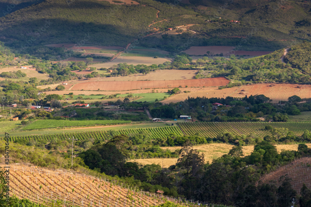 Vineyard and contryside  at Samaipata, Bolivia