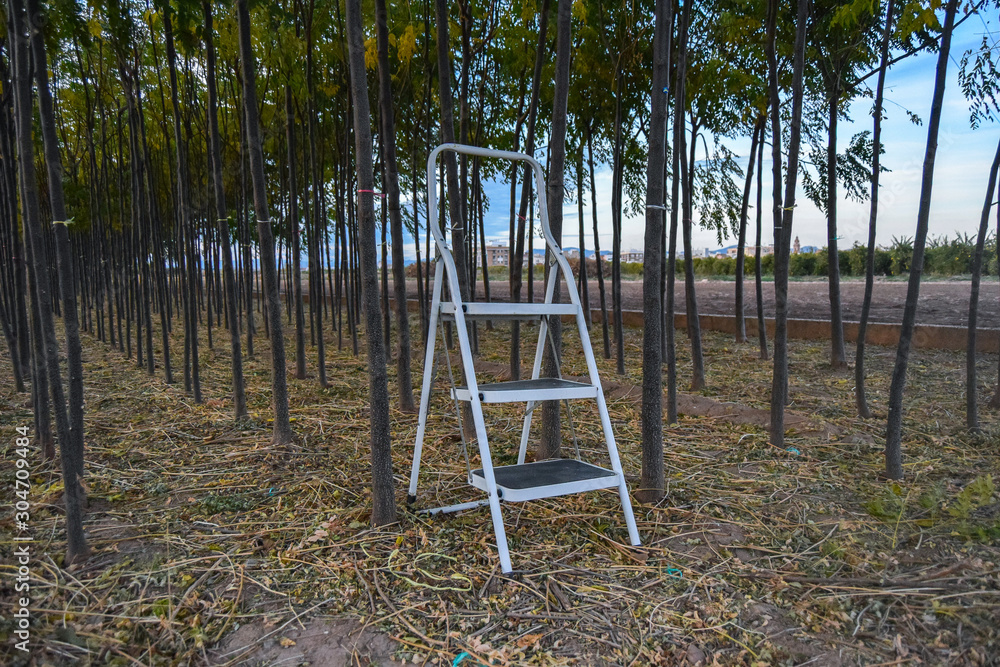 Fototapeta premium close up of a portable staircase in the middle of a field on a cloudy day creative photo