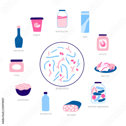 Vector isolated illustration of probiotic food