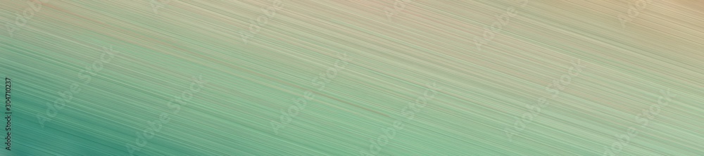 abstract wide banner image texture with dark sea green, blue chill and silver colors and space for text or image abstract wide banner image texture with dark sea green, blue chill and silver colors and space for text or image