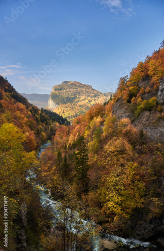 Beech trees with autumn colors in La Goule Noire de las Gorges de La Bourne. France