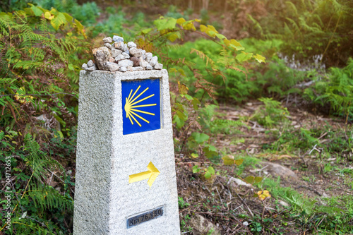 Billede på lærred Yellow scallop shell, touristic symbol of the Camino de Santiago showing direction on Camino Norte in Spain