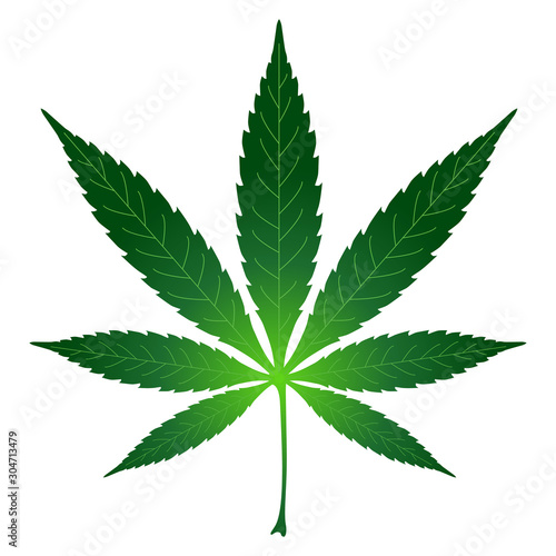 Green leaf of cannabis. Vector illustration isolated on white background for design and web.