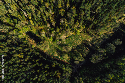 Aerial view on rural forest area with small road 