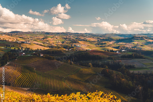 Vineyards in the province of Cuneo, Piedmont, Italy