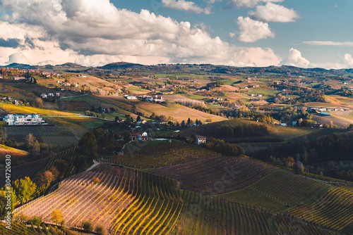 Vineyards in the province of Cuneo, Piedmont, Italy