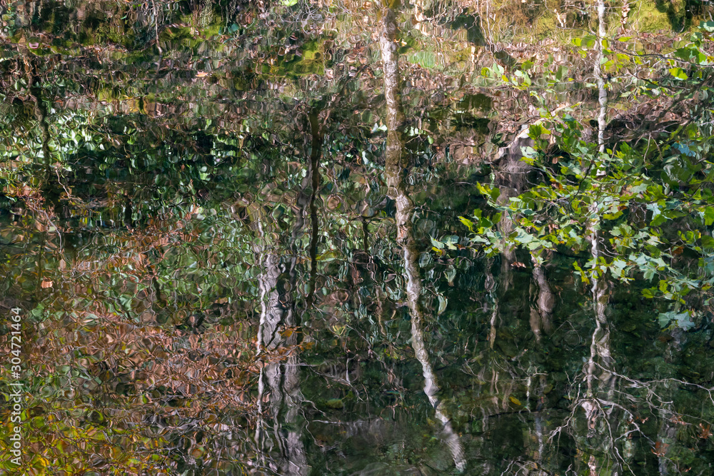 Fototapeta premium Abstract reflections of the forest in a river in the Great Smoky Mountains National Park