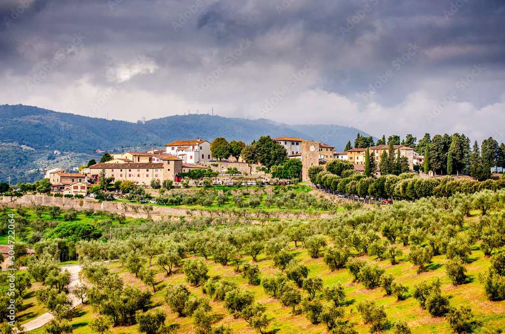 Artimino town on beautiful hills with olive groves in Tuscany Italy