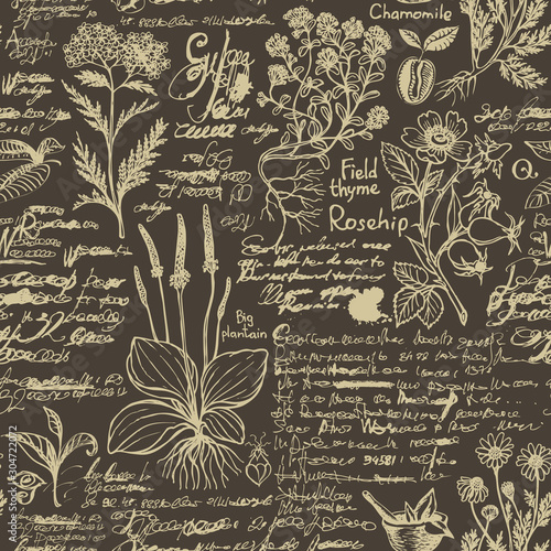 Vector seamless pattern on the theme of medicine and herbal treatment. Retro background with old hand-drawn sketches, unreadable notes, various herbs and blots. Drawing chalk on the blackboard
