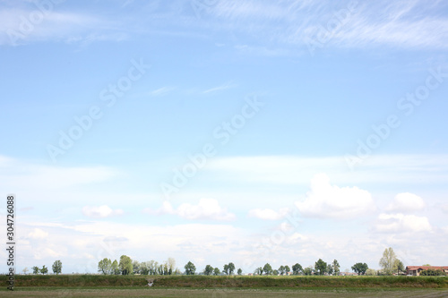 country side view of a  plowed field and a trres line with copy space for your text photo
