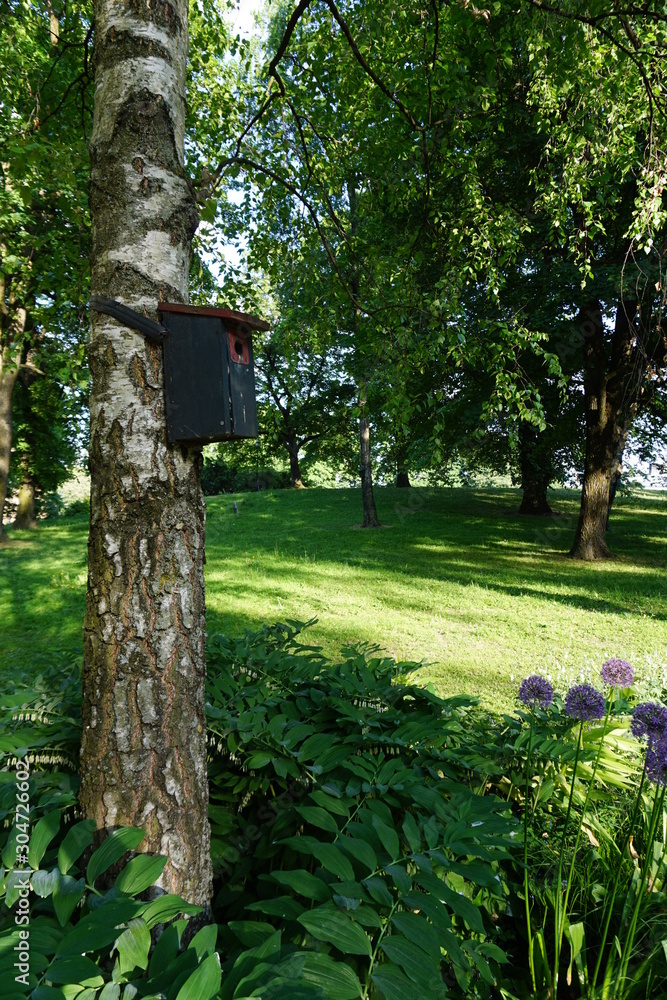 Birdhouse on tree. Palace Park in Oslo, Norway. Birdhouse on tree. Palace Park in Oslo, Norway.