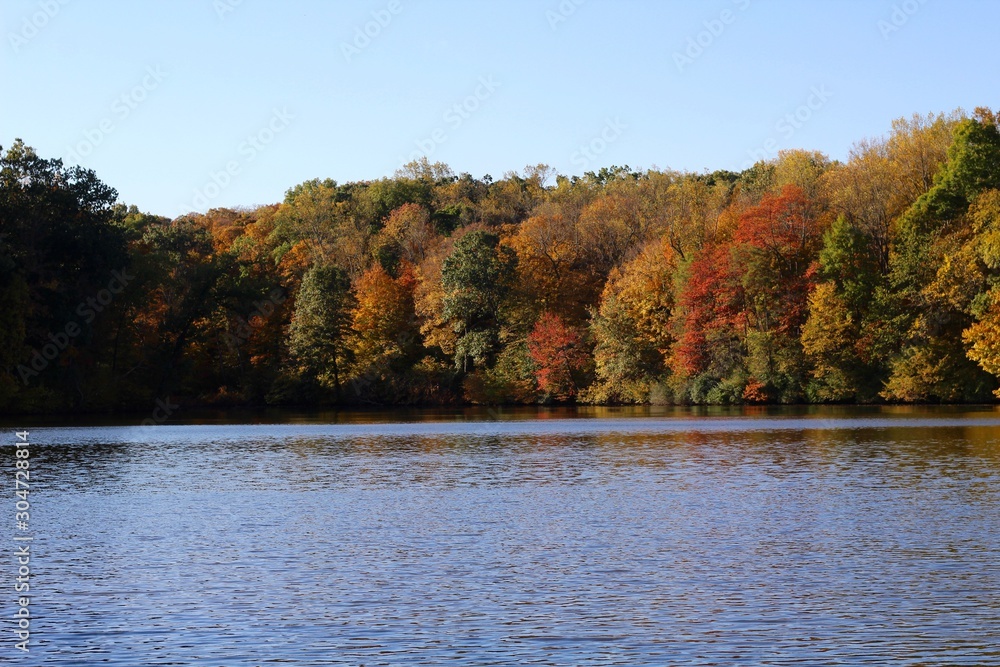 A beautiful autumn day at the lake in the park. A beautiful autumn day at the lake in the park.