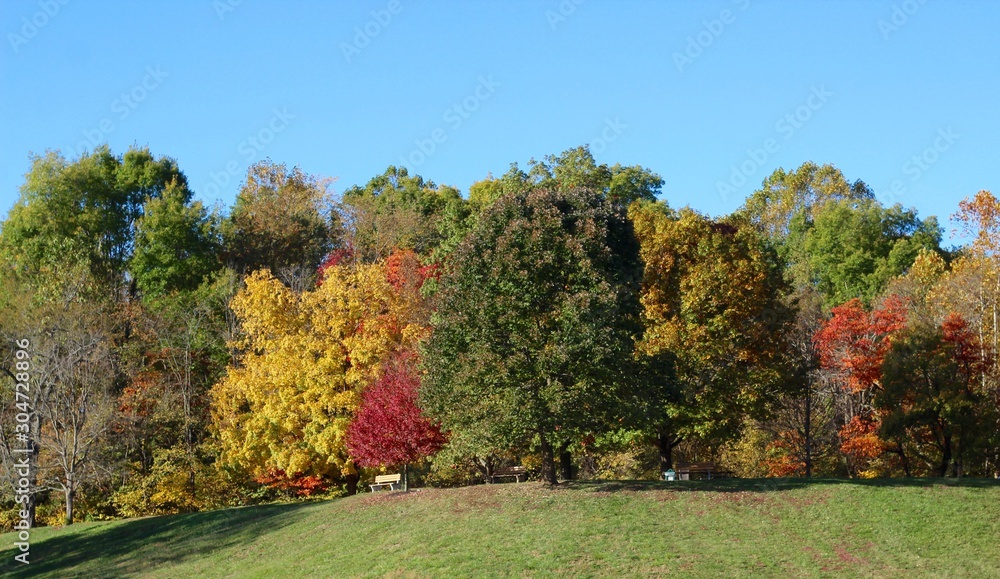 A beautiful autumn scene in the country on a sunny day.
