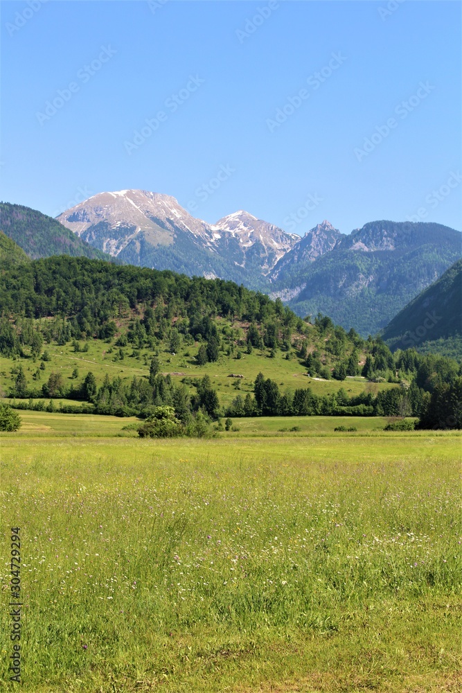 Green Hill and field view near Bohinj in Slovenia