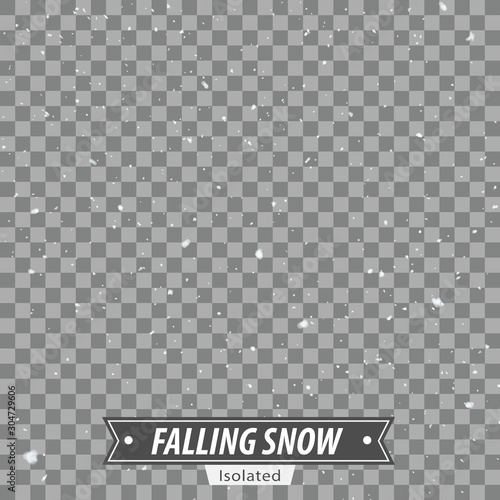 Isolated Falling Snow / EPS10 Vector