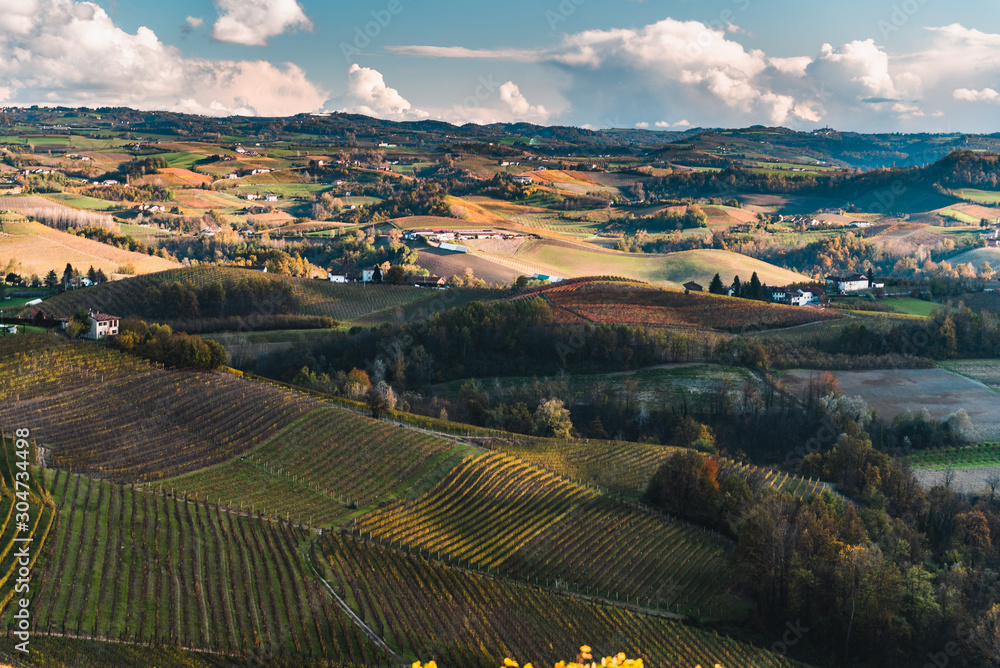 Vineyards in the province of Cuneo, Piedmont, Italy