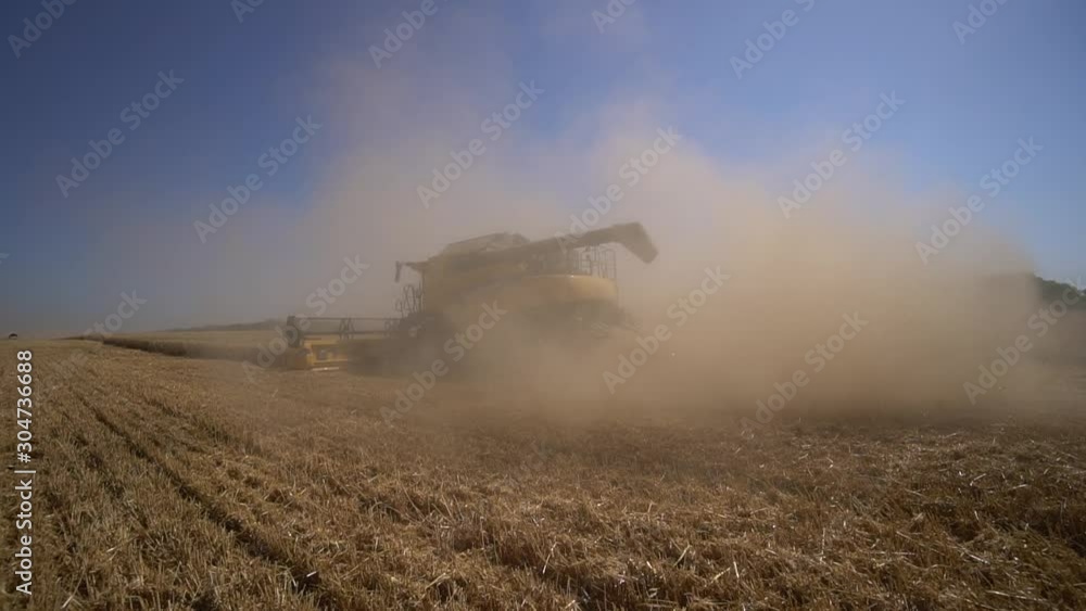 Medium shot bihind of harvester which collecting grains of wheat in field in hope of rich harvest slow motion Medium shot bihind of harvester which collecting grains of wheat in field in hope of rich harvest slow motion