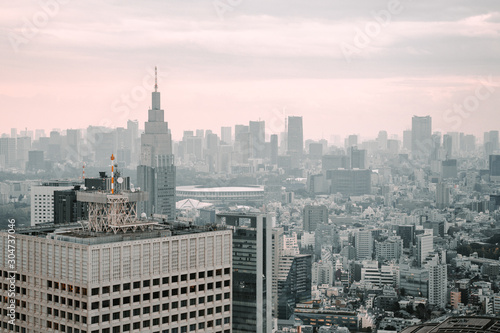 Tokyo skyline from above