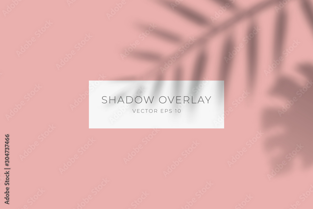 Transparent shadow overlay effect for branding. Palm leaf drop shadow on flat surface. Background for your design. Vector eps 10. - obrazy, fototapety, plakaty 