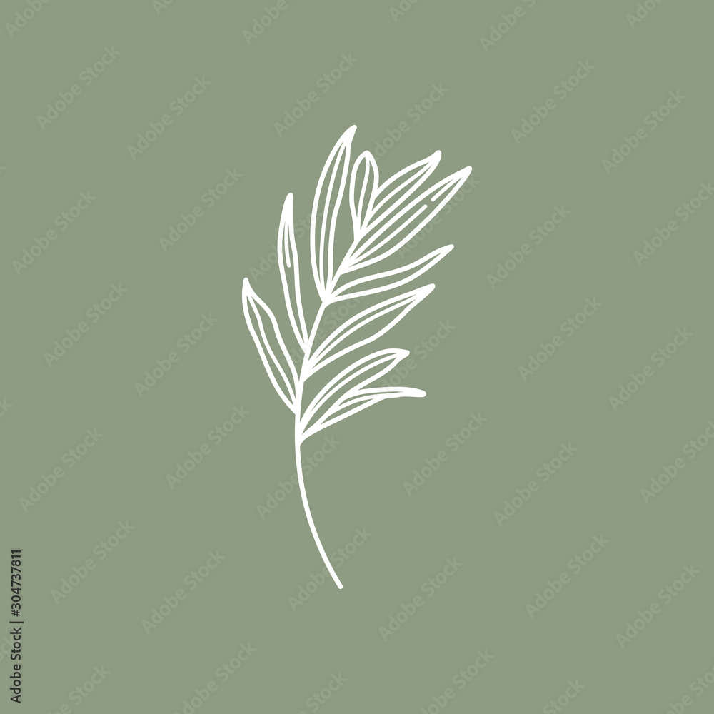 Olive Branch with leaves. Outline Botanical leaves In a Modern Minimalist Style. Vector Illustration. For printing on t-shirt, Web Design, beauty Salons, Posters, creating a logo and other