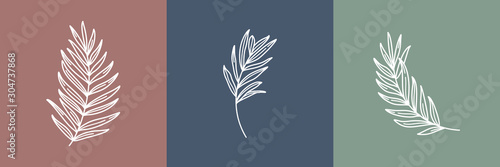Canvas Set of tropical leaves