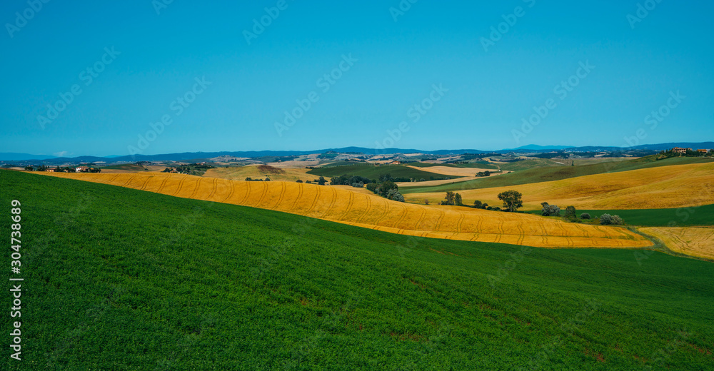 Obraz premium View of a sunny day in the Italian rural landscape. Unique Tuscany landscape in summer time. Wave hills, colorful fields, cypresses trees and sky.