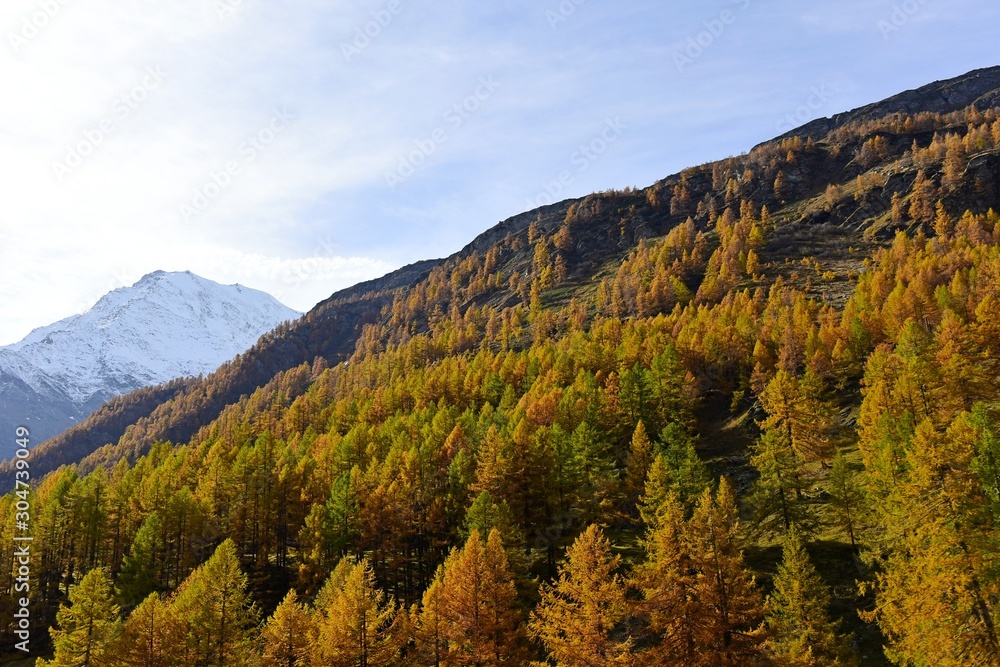 Simplonpass, Valais Switzerland in autumn