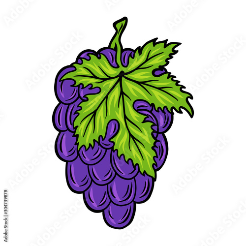 Vintage retro bunch of grapes isolated vector illustration on a white background.