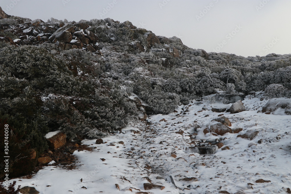 Fototapeta premium Snowy mountains