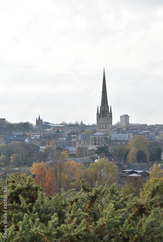 Views of Norwich, Norfolk, UK, from Mousehold Heath.