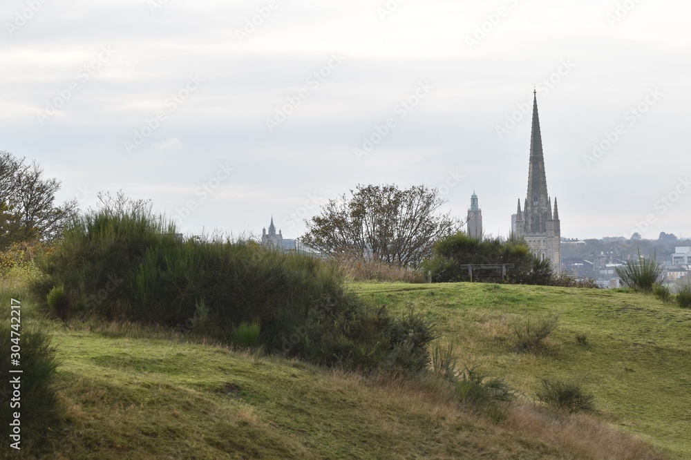 Obraz premium Views of Norwich, Norfolk, UK, from Mousehold Heath.
