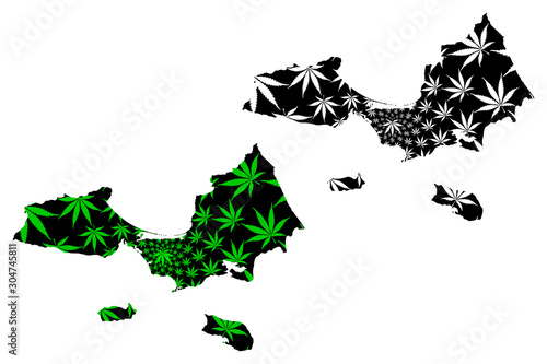 Nueva Esparta State (Venezuela) map is designed cannabis leaf green and black, Estado Nueva Esparta (Margarita Island, Coche and Cubagua) map made of marijuana (marihuana,THC) foliage.... photo