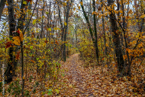 02_Autumn in Vitosha Mountain, Sofia, Bulgaria