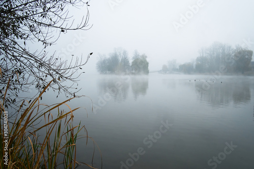 Foggy morning on city lake in autumn season. Trees reflected on calm water surface.