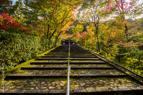 Fototapeta Naklejka Na Ścianę i Meble -  京都の観光名所禅林寺の紅葉風景