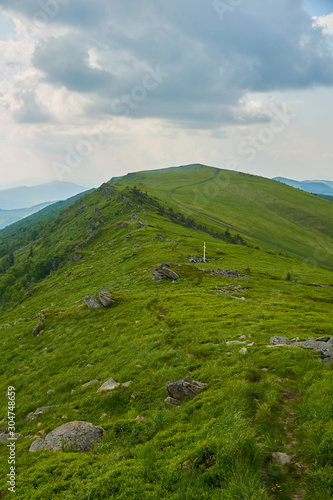 Green hills of the Carpathian mountains