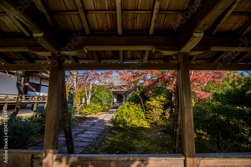 京都の観光名所天龍寺の紅葉風景