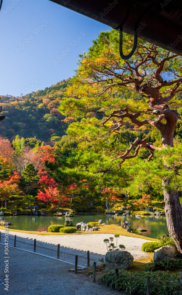 京都の観光名所天龍寺の紅葉風景