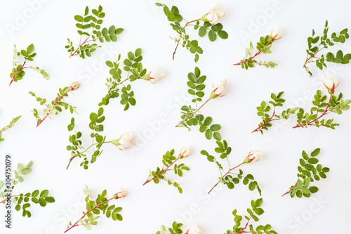 Flat lay pattern with small white flowers and green leaves on a white background © maria_lh